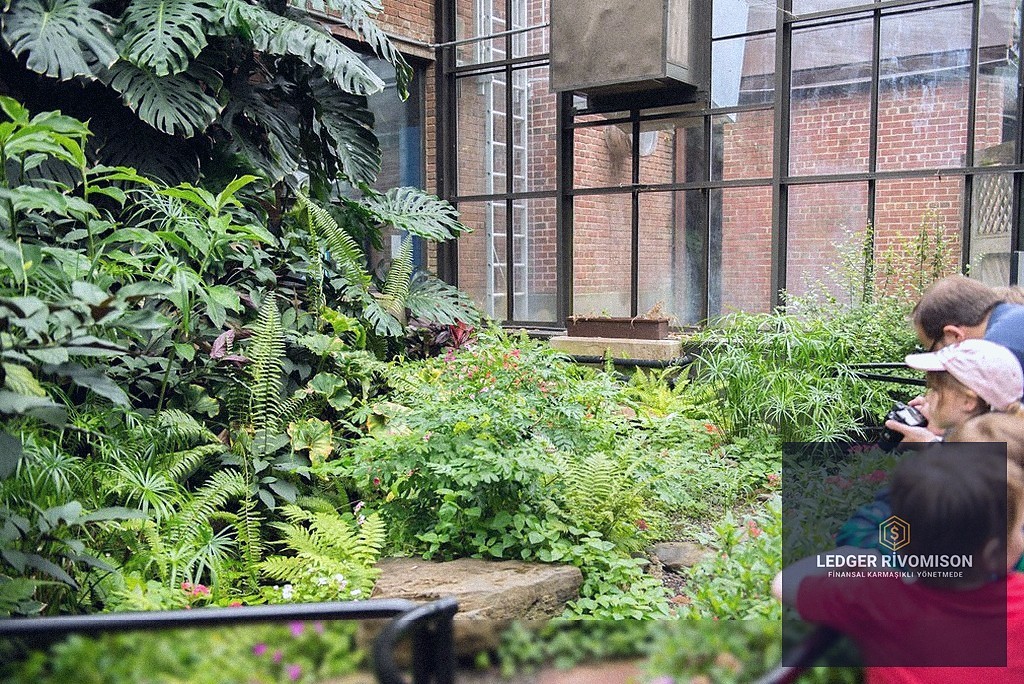 KOBİ'ler İçin Regülasyonlara Uyum ve Finansal Şeffaflık - section 5